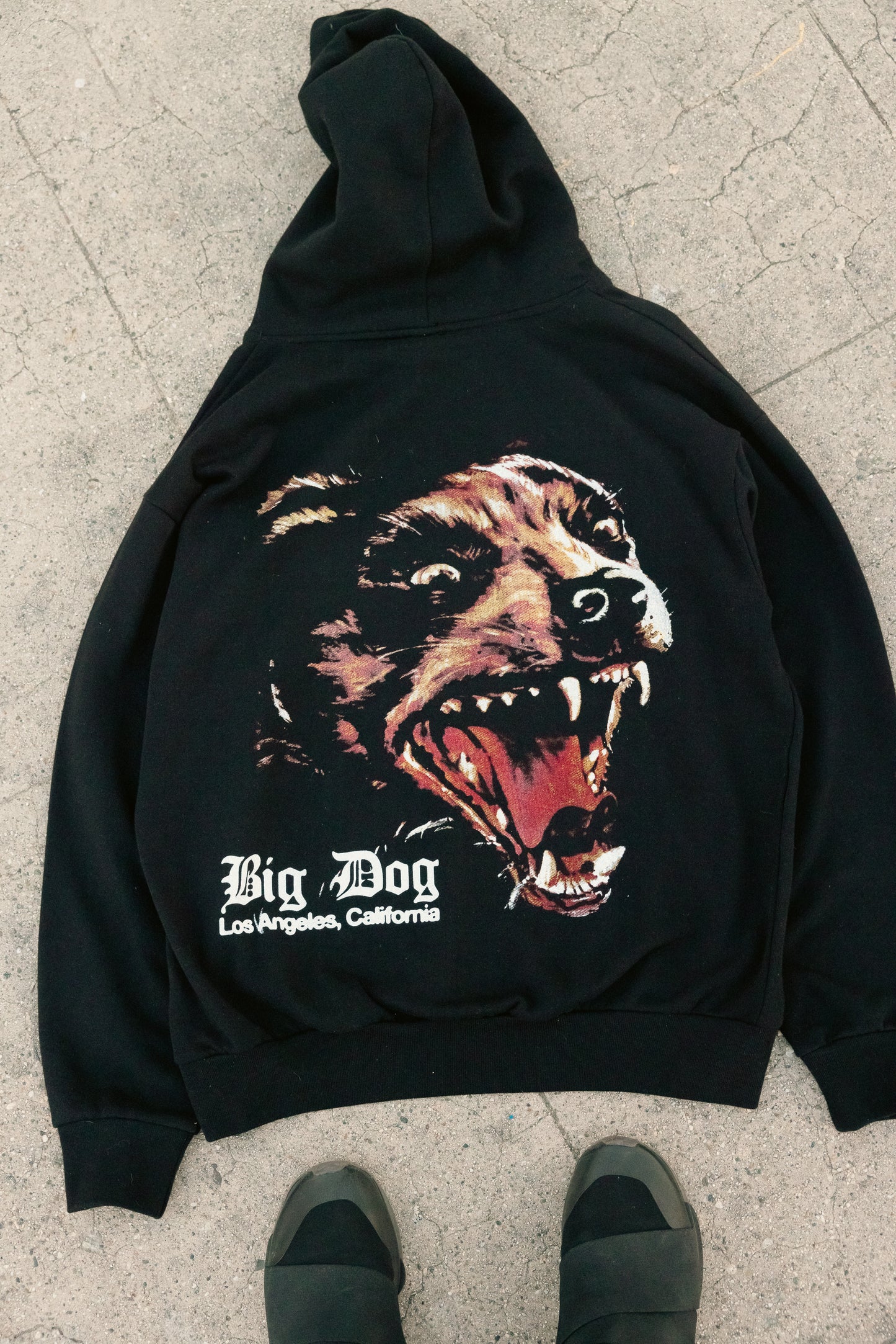 Big Dog Hoodie