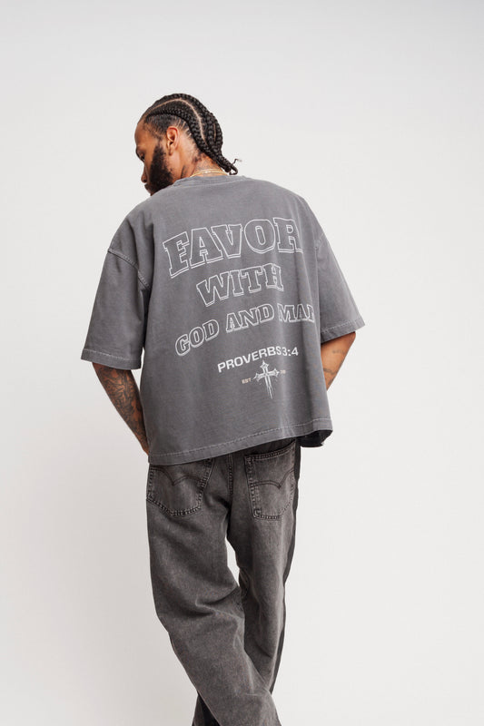 PROVERBS 3:4 T-Shirt